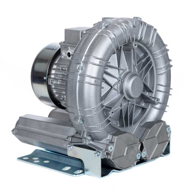 RIC M 50 S